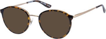 Superdry SDO-2008 sunglasses in Tortoise Gold