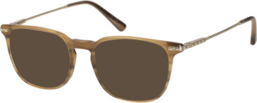 Savile Row SRO-028 sunglasses in Horn Gold