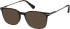 Savile Row SRO-023 sunglasses in Tortoise Gold