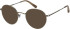 Savile Row SRO-007 sunglasses in Gold Tortoise