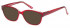 SFE sunglasses in Burgundy