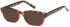 SFE sunglasses in Brown/Red
