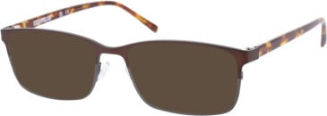 Caterpillar (CAT) CPO-3504 sunglasses in Brown Grey Tortoise