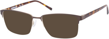 Caterpillar (CAT) CPO-3503 sunglasses in Matt Brown Gold