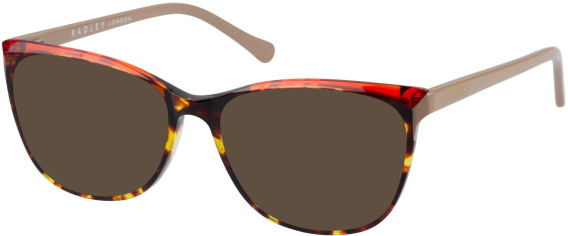 Radley RDO-PORTIA glasses in Tortoiseshell RED