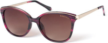 Radley RDS-MOIRA sunglasses in Burgundy Horn