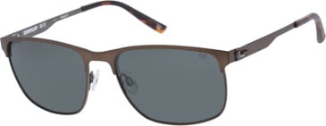 Caterpillar CPS-8504 sunglasses in Matt Brown