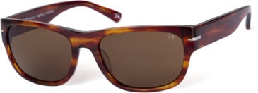 Botaniq BIS-7018 sunglasses in Gloss Tortoise