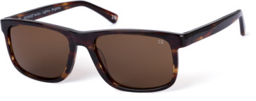 Botaniq BIS-7012 sunglasses in Brown Str