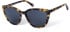 Botaniq BIS-7004 sunglasses in Gloss Tortoise