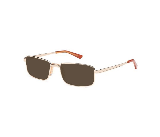 SFE reading sunglasses in Gold