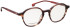Entourage Of 7 ZOEY glasses in Brown