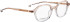 Entourage Of 7 ZETA glasses in Brown/Clear