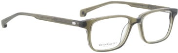 Entourage Of 7 RYAN glasses in Green Transparent