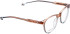 Entourage Of 7 RAELYNN glasses in Brown Transparent