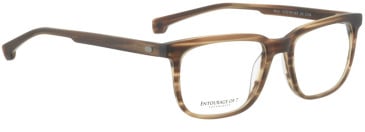 Entourage Of 7 NICK glasses in Matt Havana