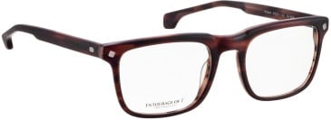 Entourage Of 7 MATTEO glasses in Brown