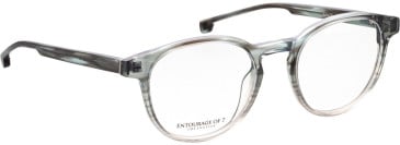 Entourage Of 7 KANE-XL glasses in Grey