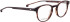Entourage Of 7 KANE glasses in Matt Brown
