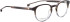 Entourage Of 7 KANE glasses in Brown