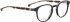 Entourage Of 7 KANE glasses in Black