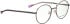 Bellinger LEGACY-5112 glasses in Black