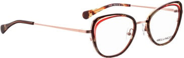 Bellinger ARC-X4 glasses in Brown
