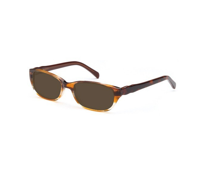 SFE reading sunglasses in Brown