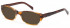 SFE reading sunglasses in Brown