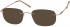 SFE reading sunglasses in Earth