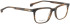 Entourage Of 7 NICK glasses in Light Tortoise