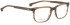Entourage Of 7 NICK glasses in Matt Havana