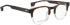Entourage Of 7 KURT glasses in Brown/Clear