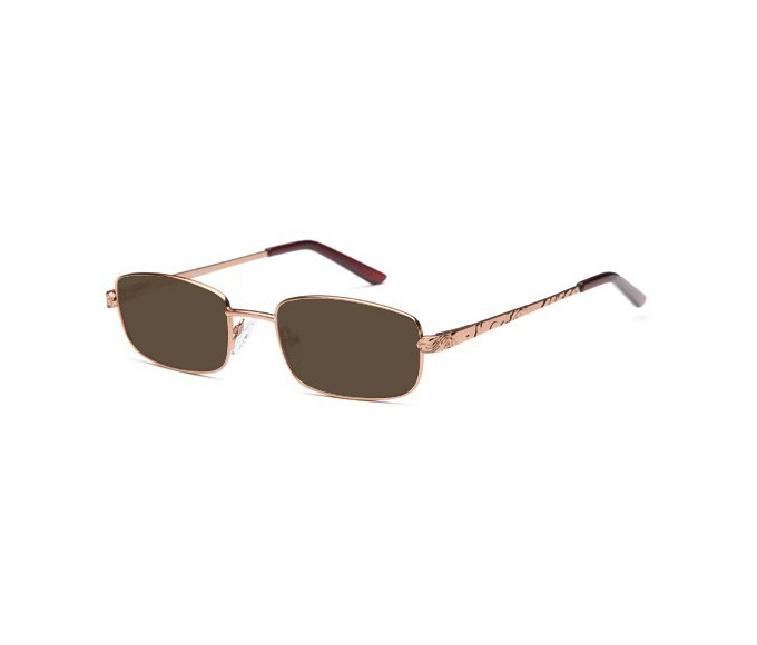 SFE reading sunglasses in Brown