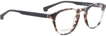Entourage Of 7 JOSH glasses in Light Tortoise