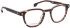 Entourage Of 7 JACKSON glasses in Brown