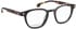 Entourage Of 7 JACKSON glasses in Matt Black