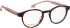 Entourage Of 7 ISLA glasses in Brown