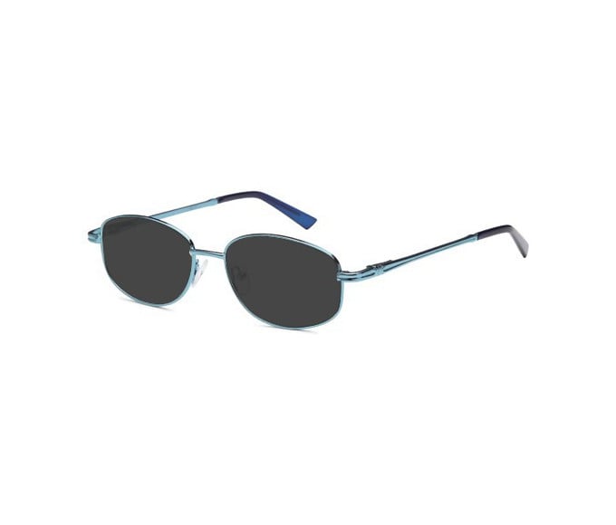 SFE reading sunglasses in Blue