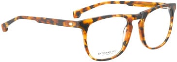 Entourage Of 7 HAYES glasses in Tortoise