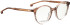 Entourage Of 7 HARLOW glasses in Brown