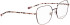 Bellinger WIRE-2 glasses in Brown