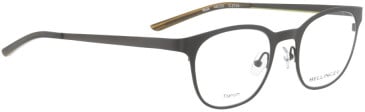 Bellinger WALK glasses in Brown