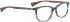 Bellinger TWIGS-1 glasses in Purple/Blue