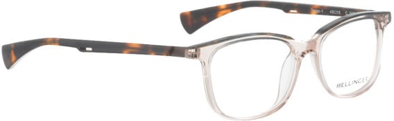 Bellinger TWIGS-1 glasses in Brown Transparent