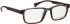 Bellinger TOMCAT glasses in Grey
