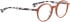 Bellinger SPOT glasses in Orange