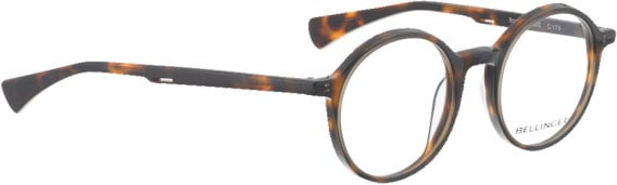 Bellinger SPOT glasses in Brown Tortoise