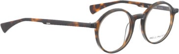Bellinger SPOT glasses in Brown Tortoise