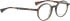 Bellinger SPOT glasses in Brown Tortoise